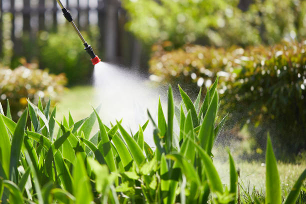 24/7 Emergency Cockroach Control experts in Kingman, KS