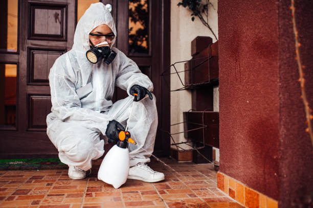 Reliable Cockroach Control contractor in Kingman, KS by Nex Pest Control